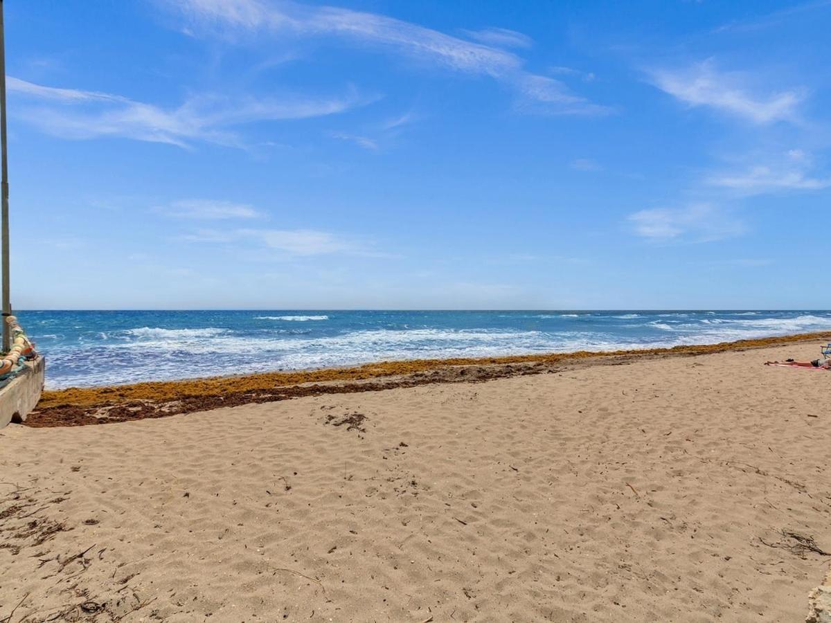 The Shell On Walnut Studio With Bath Hollywood Beach Free Parking 데이니아 비치 외부 사진