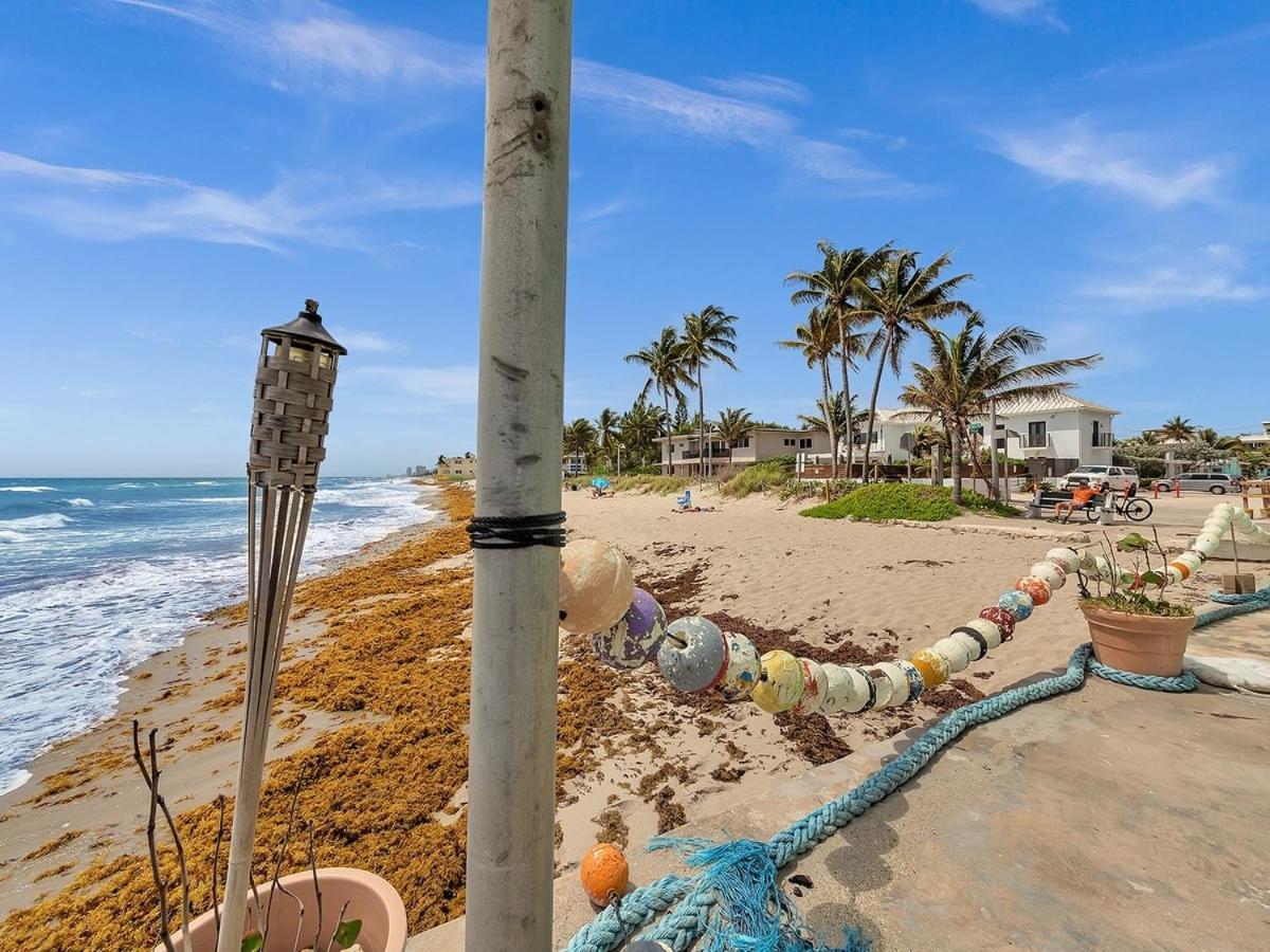 The Shell On Walnut Studio With Bath Hollywood Beach Free Parking 데이니아 비치 외부 사진